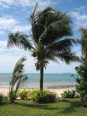 Samui01